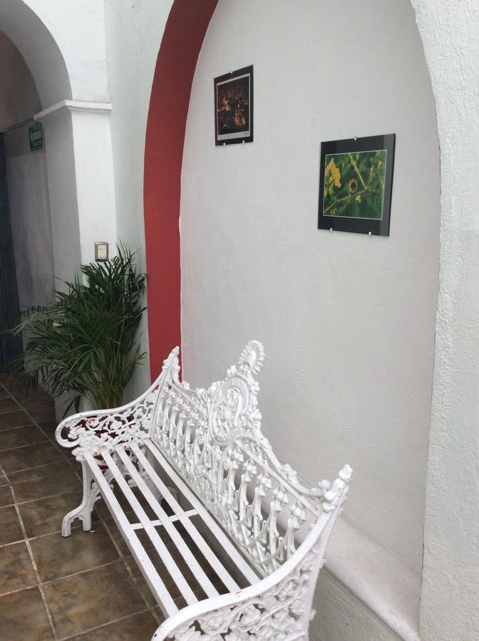 Hotel Casa Rocinante Guanajuato Eksteriør bilde